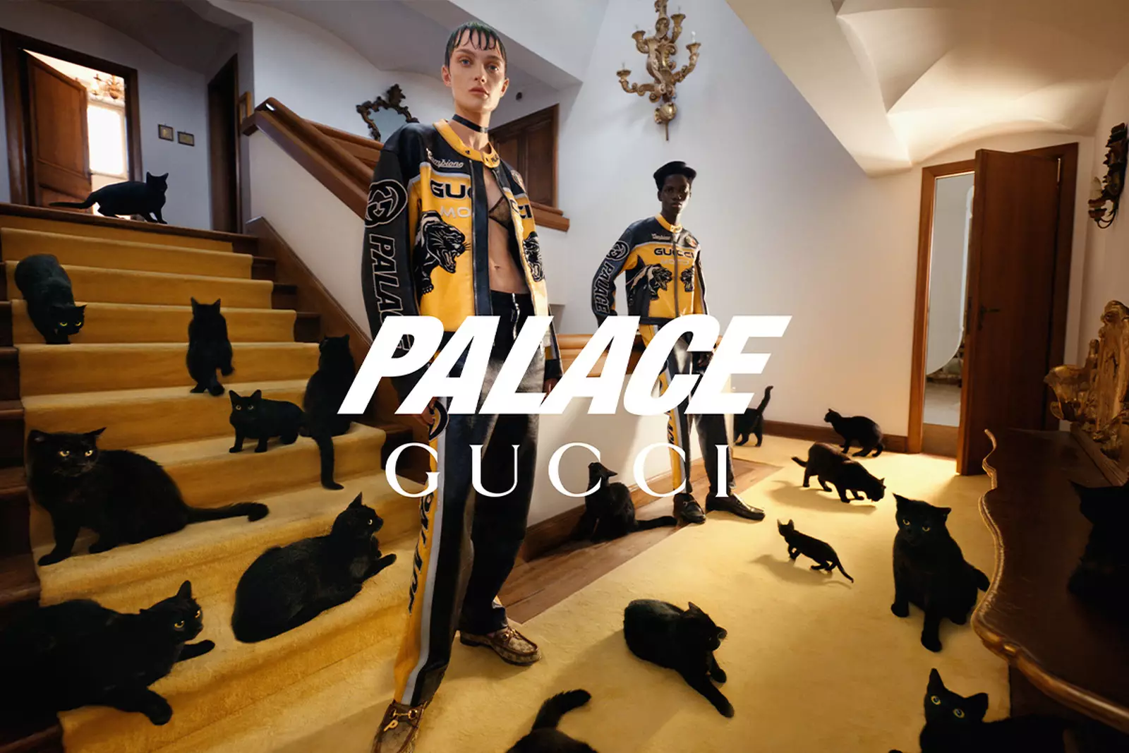 PALACE x GUCCI : la collection disponible cette semaine ?